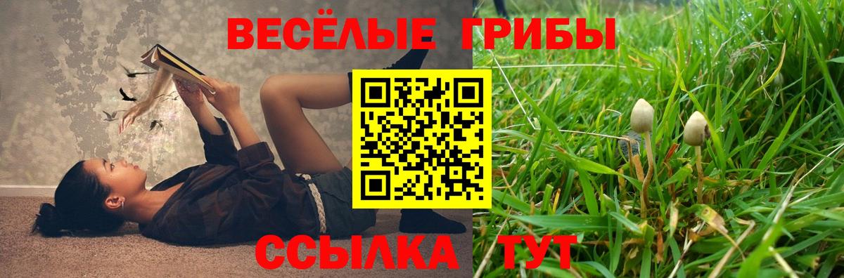 МАРИХУАНА  Меф МЯУ МЯУ кристаллы  КОКАИН  Вход с VPN  АМФ кристаллы  Гашиш  Калининград  Купить 