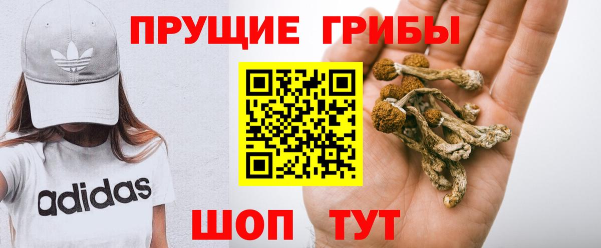 Калининград  Галлюциногенные грибы GOLDEN TEACHER  Галлюциногенные грибы мицелий  Вход с VPN 
