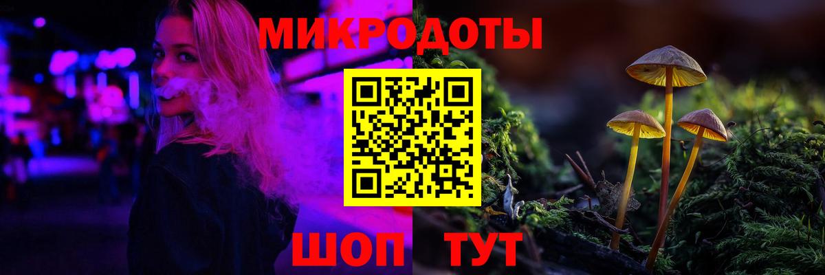 Псилоцибиновые грибы прущие грибы Калининград