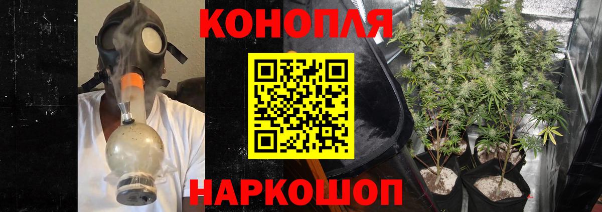 Бошки марихуана конопля Калининград